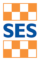VICSES Logo